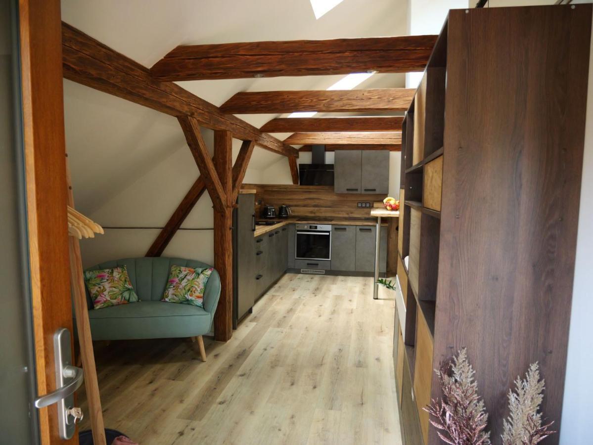 Apartman Danuse Česká Lípa Buitenkant foto
