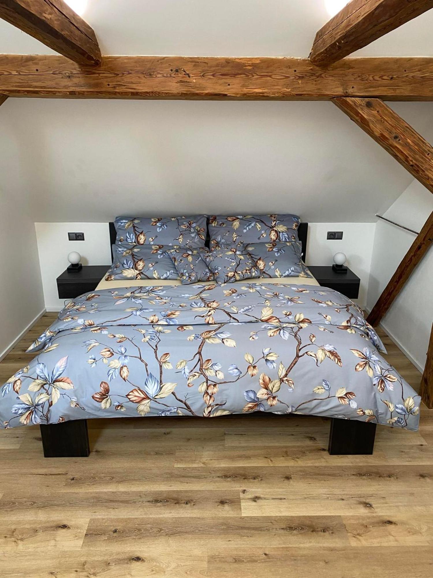 Apartman Danuse Česká Lípa Buitenkant foto